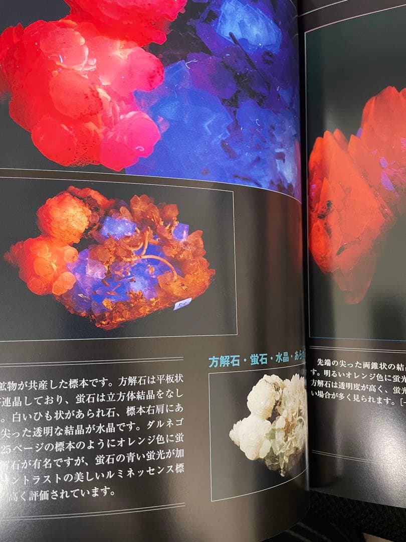 光る石ガイドブック: 蛍光鉱物の不思議な世界 (ROCK&GEMコレクション)