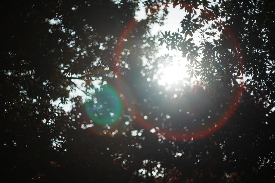 【整備＆テスト済】Nikon Ai-s Nikkor 50mm F1.2 673