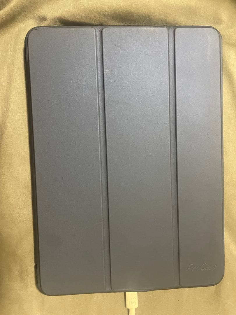 Crown！iPad Pro 11インチ 第4世代 本体 256GB