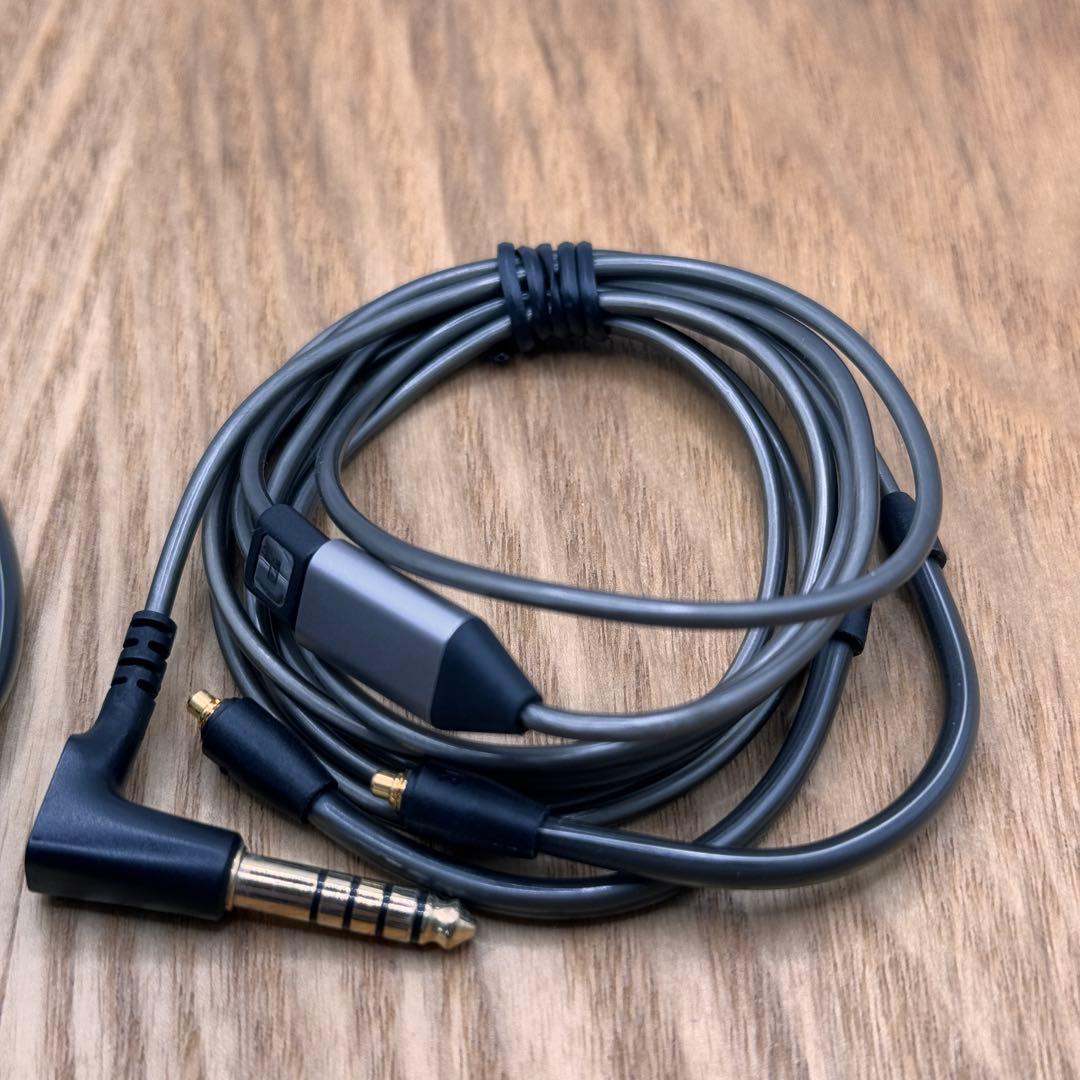 SENNHEISER IE 900 [純正品,送料込み]