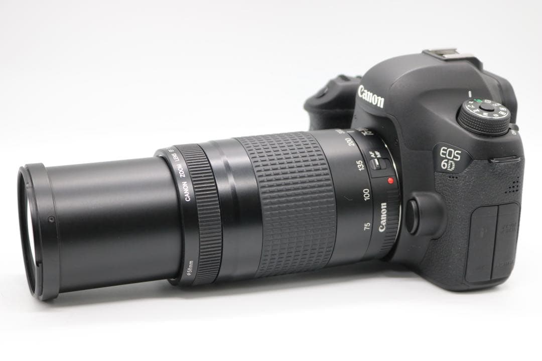 超美品 【Canon EOS 6D ダブルレンズセット】 フルサイズ　安心保証◎