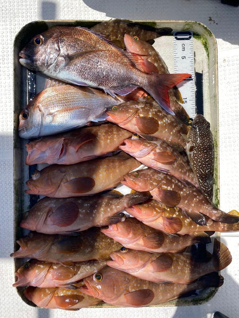 コスパ最強で釣果抜群！★エビ針ジグ★魚釣り 船釣り 仕掛け ★送料無料★