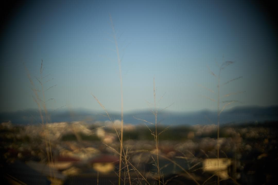 フィルムカメラ Olympus G.Zuiko Auto-S 40mm F1.4