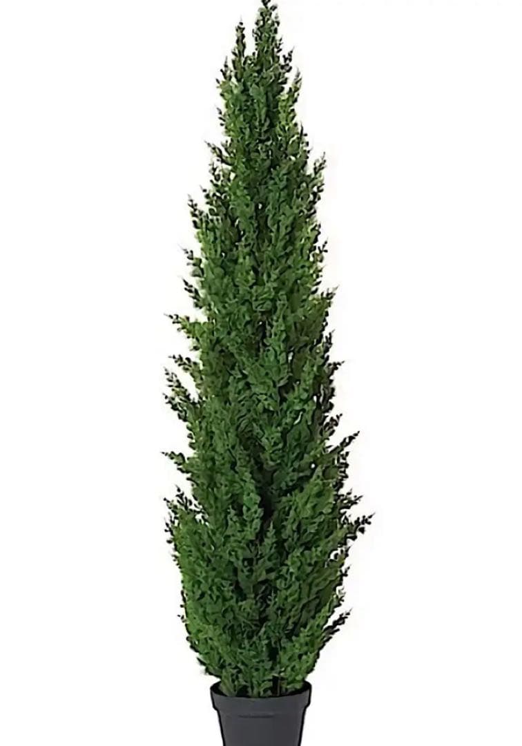 光触媒　人工観葉植物　ウォールグリーン　フェイクグリーン　サイプレスポット150