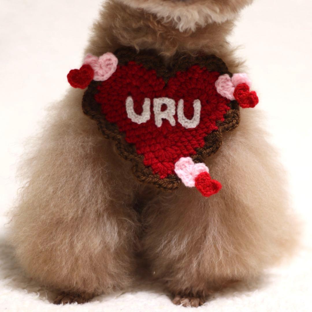 犬用・猫用　チョコがけハートの バレンタインビブ