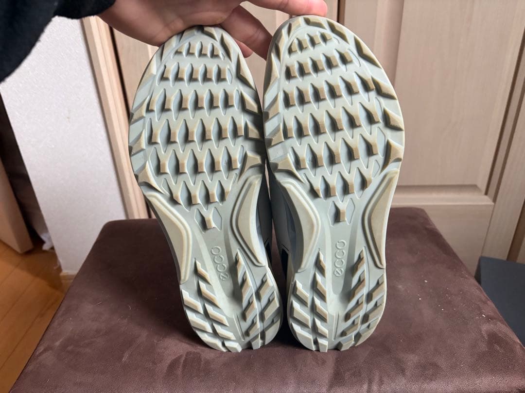 え*ん様 エコー　biom c4 ゴルフシューズ