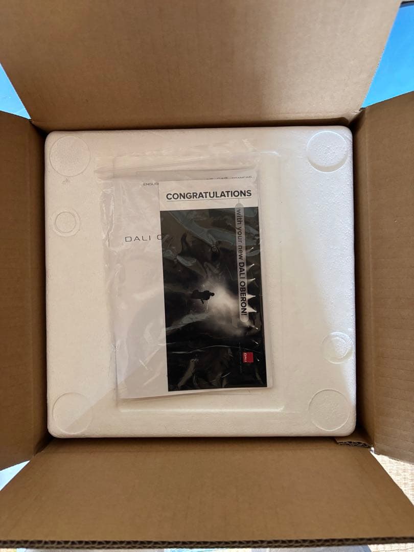 oberon on-wall(ぺア)