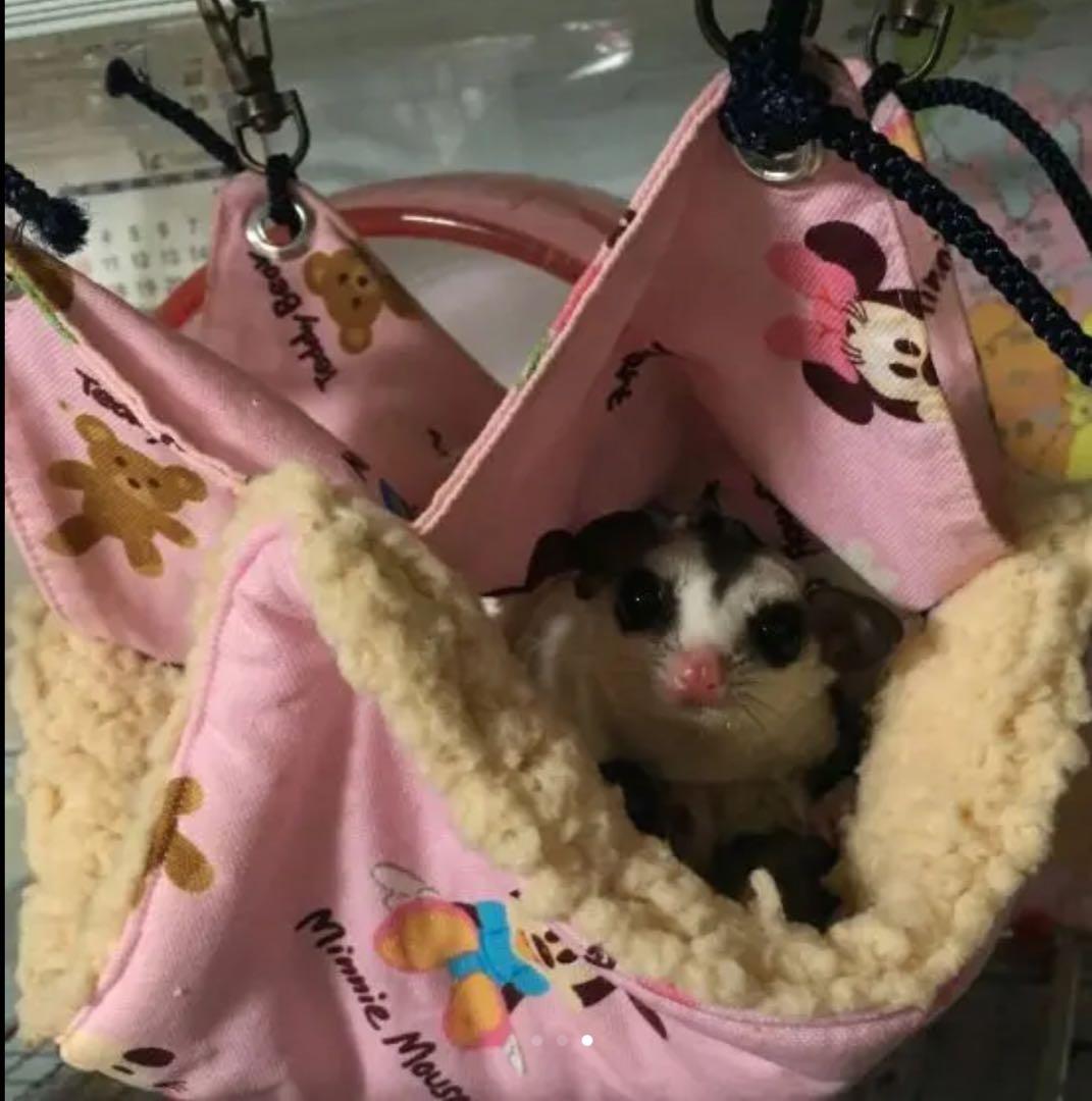 モモンガハウス(猫・デニム柄)  ボア黒  2000円