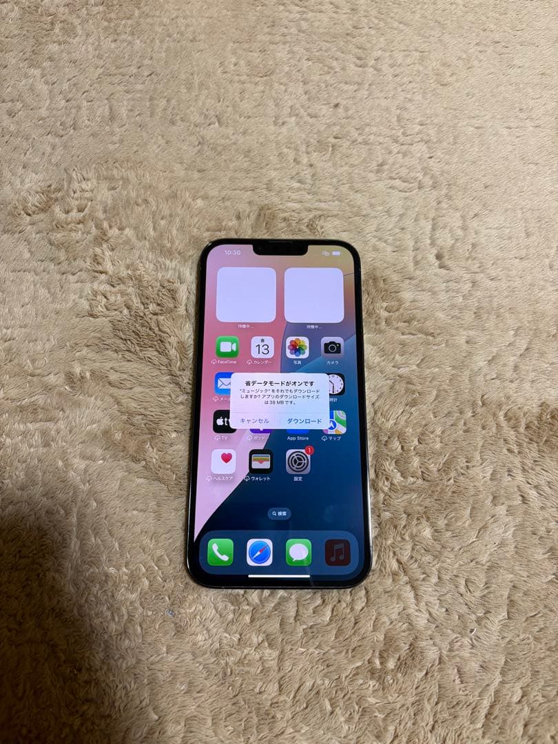 Iphone 13 Pro Max 大容量1TB SIMフリー美品