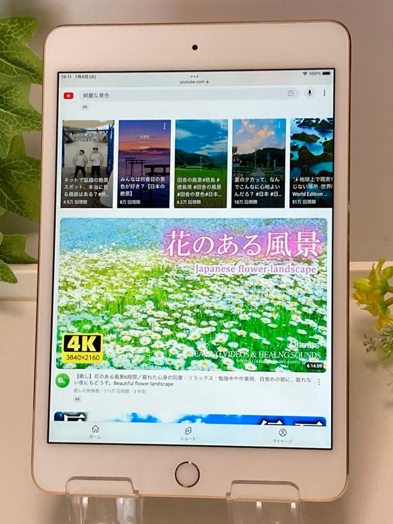 Apple iPad mini4 ゴールド 128GB⭐️ Wi-Fi 海外版