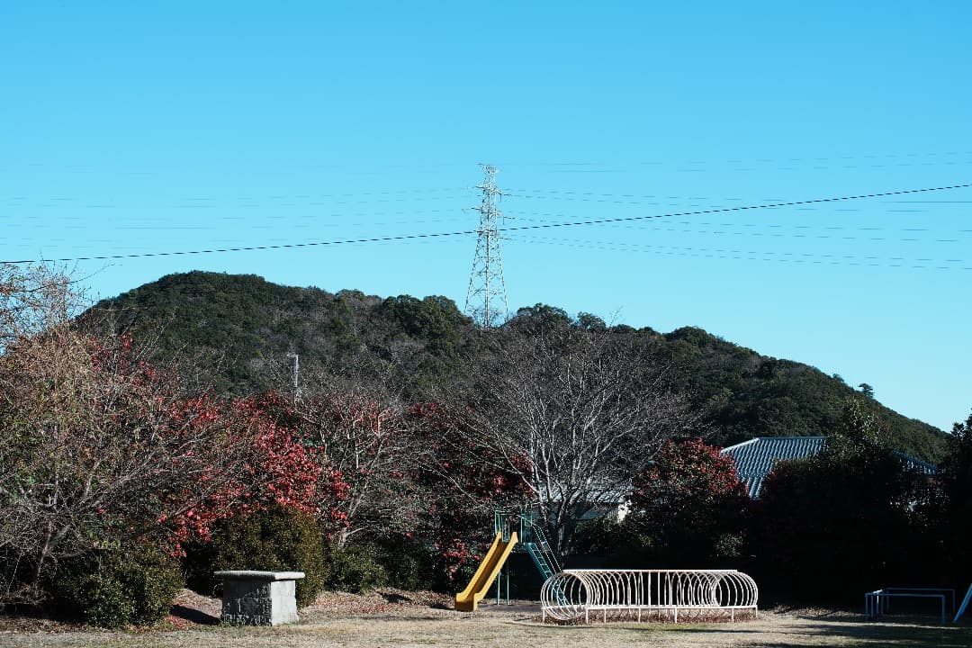 【整備＆テスト済】Nikon Ai Nikkor 50mm F1.2 050