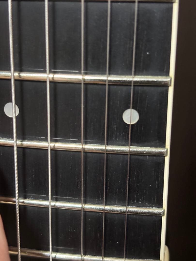 Taylor T5 エレアコ