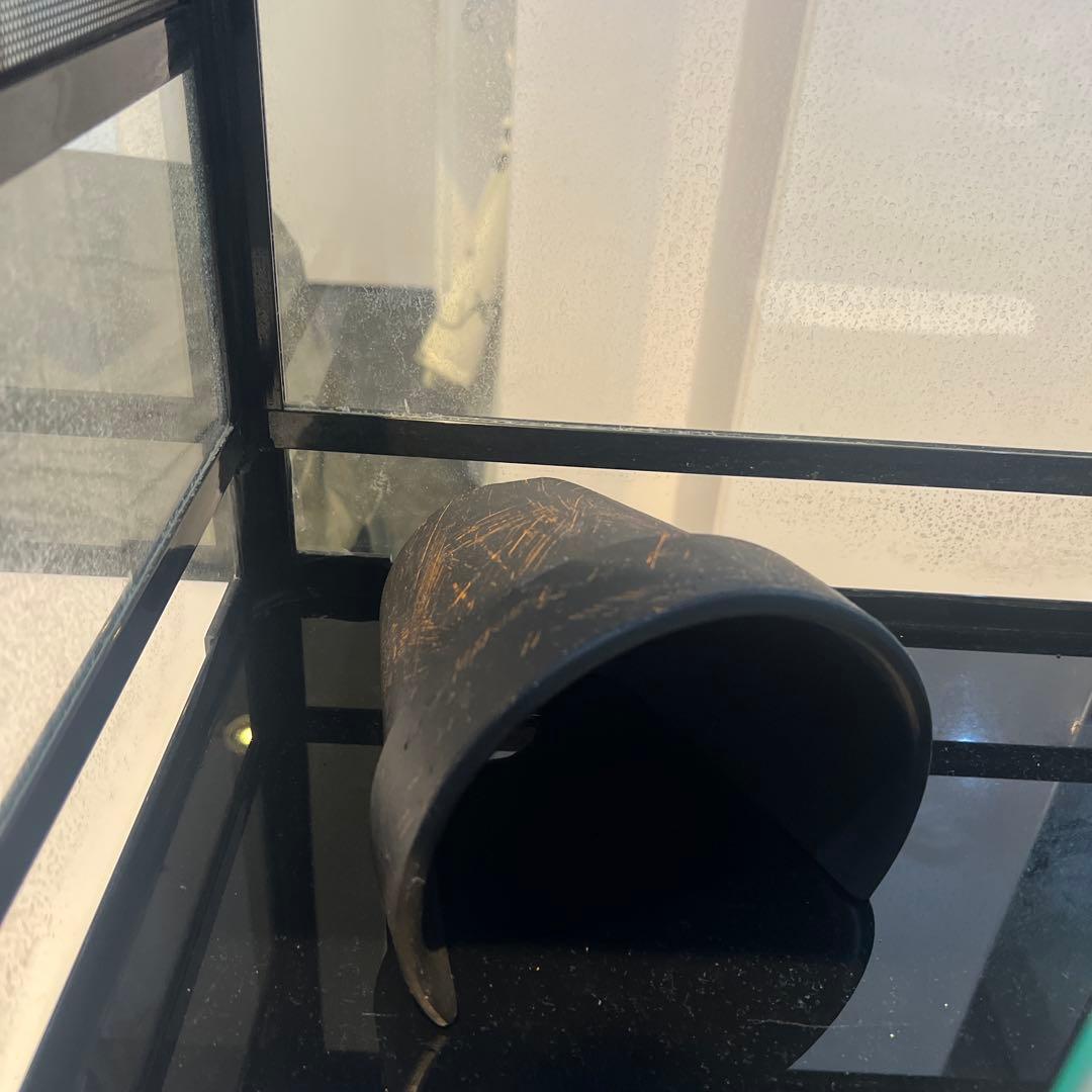 引き取り限定❗️エキゾテラ　グラステラリウム 爬虫類ケージ　まとめ売り