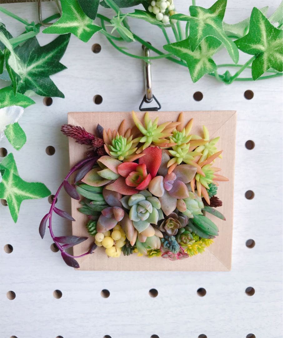 ★★壁掛け❤️★寄せ植え★ちまちまキュンキュン★このまま飾れます★多肉植物