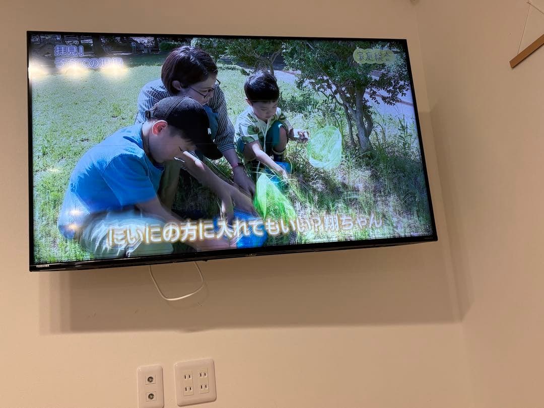 50型 TOSHIBAレグザ REGZA 50C350X