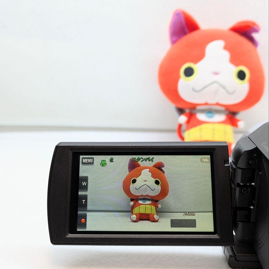 ソニー ハンディカム HDR-CX535 動作品 SONY HANDYCAM