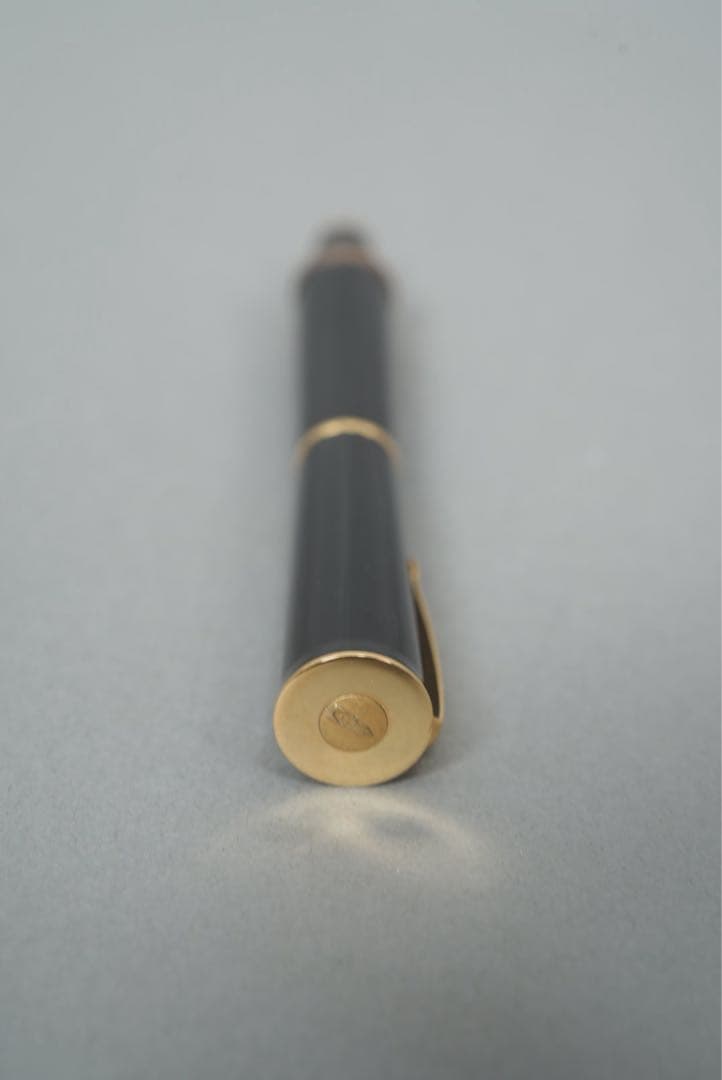 Delta デルタ パピヨン 万年筆 世界100本 限定品 新品 激レア