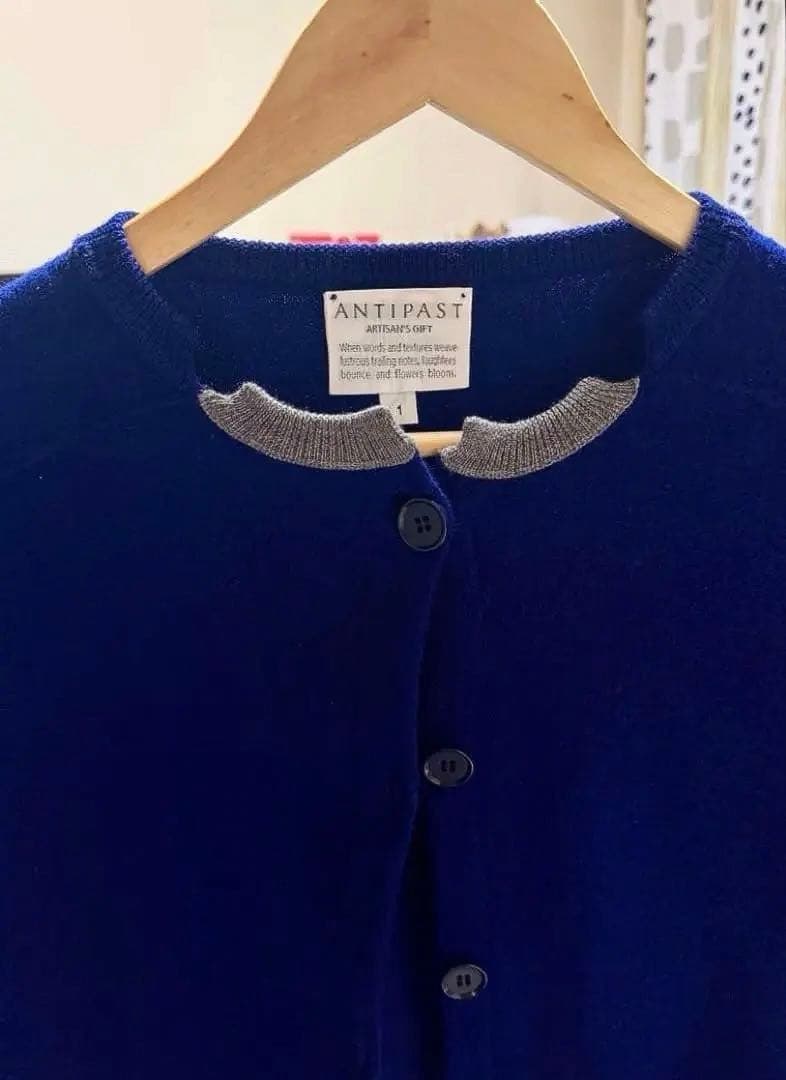 ANTIPAST FELTED KNIT CARDIGAN /ミナペルホネン