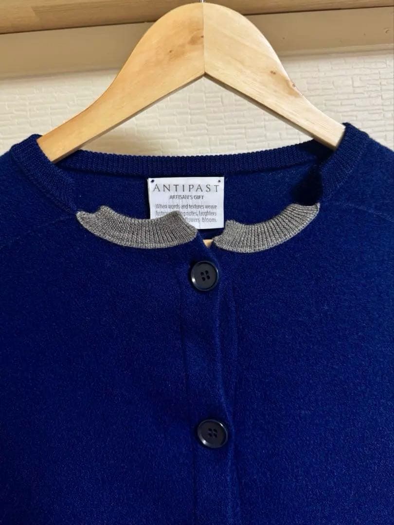 ANTIPAST FELTED KNIT CARDIGAN /ミナペルホネン