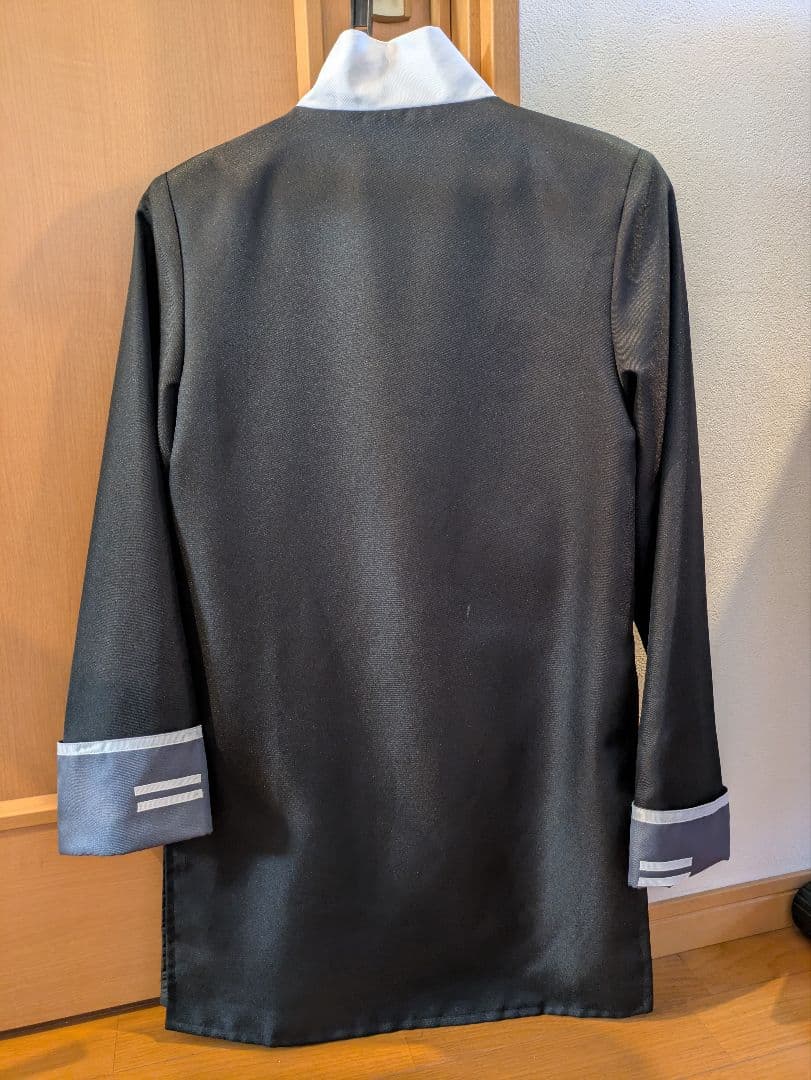 魔法使いの約束　シノ　コスプレ衣装