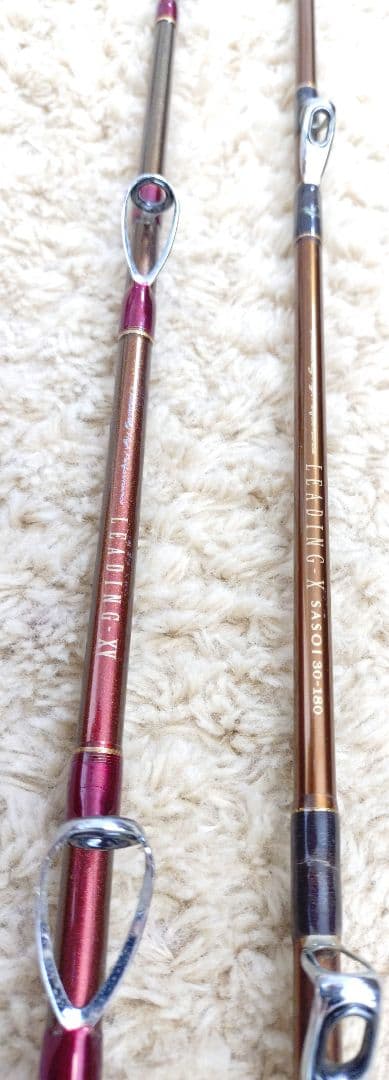 【Daiwa】LEADING 2本