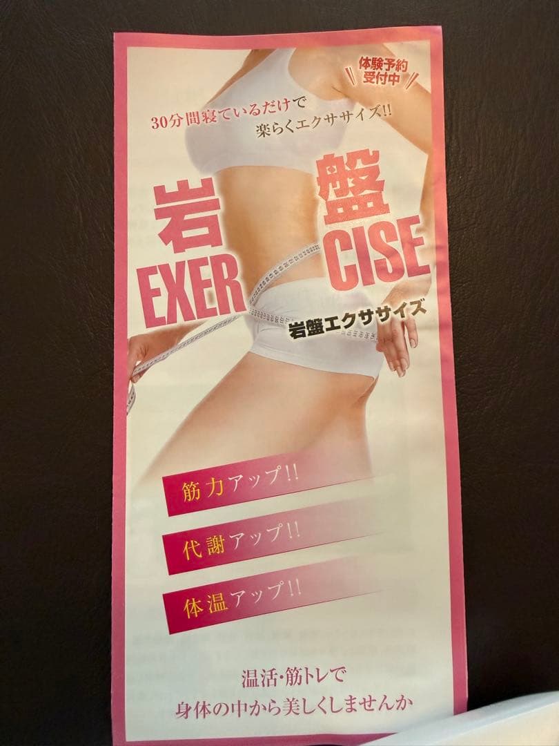 【美品】岩盤ヒートマット＆EMSセット 温活 ボディメイク サロン仕様