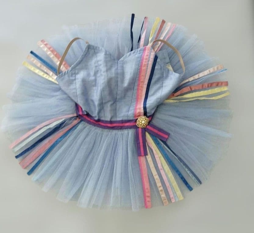 バレエ　小学校1.2年生チュチュボンの長さ　23 cm　5着まとめ