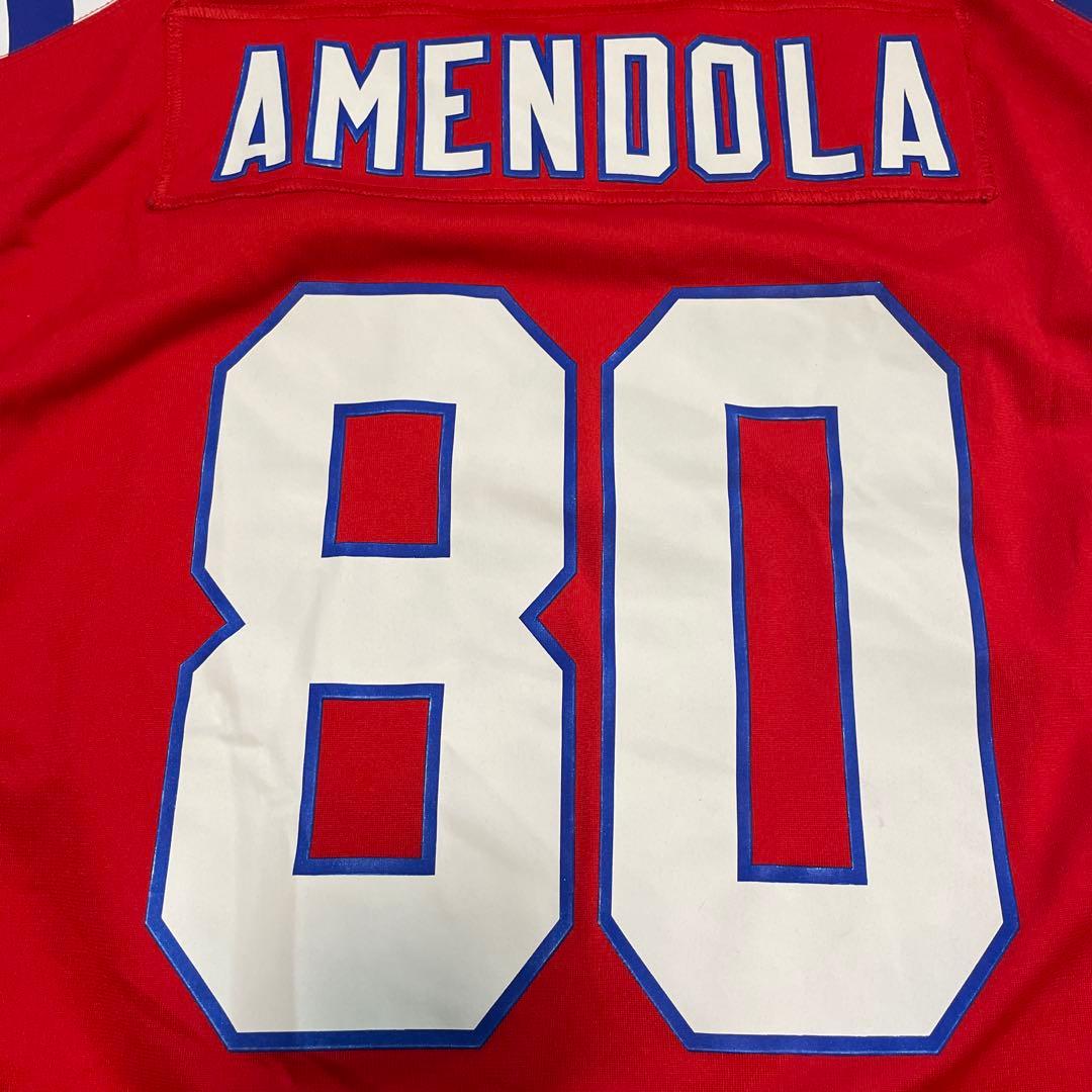 美品 NIKE NFL PATRIOTS 80 AMENDOLA Jersey