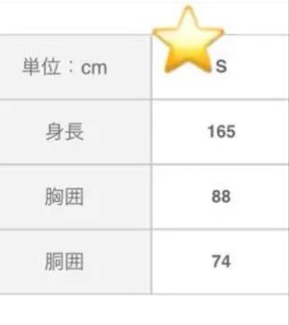 青藍泰斗高校 応援ユニフォーム　Ｓサイズ　ブルーストライプ　栃木県優勝　甲子園