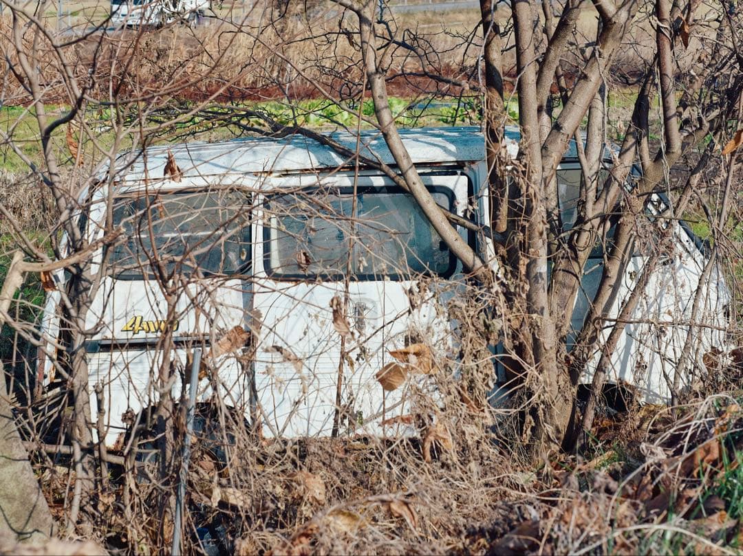 Mamiya CCD デジタルバック