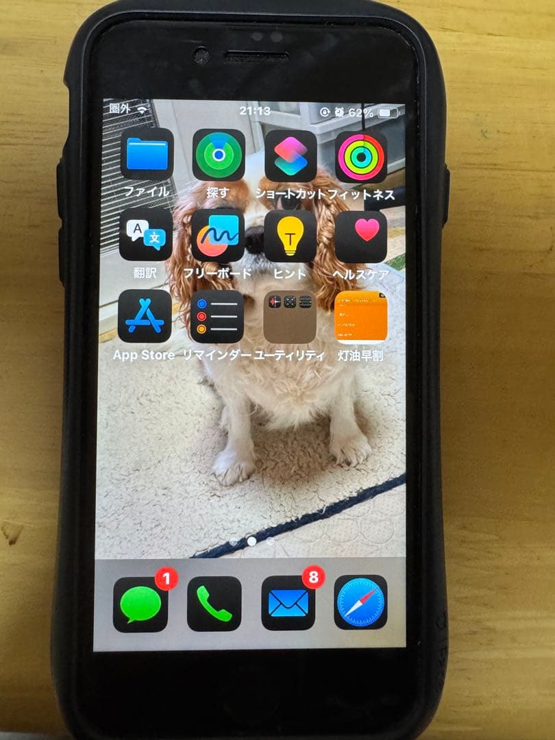 iPhone SE2 (iFaceケース付き)