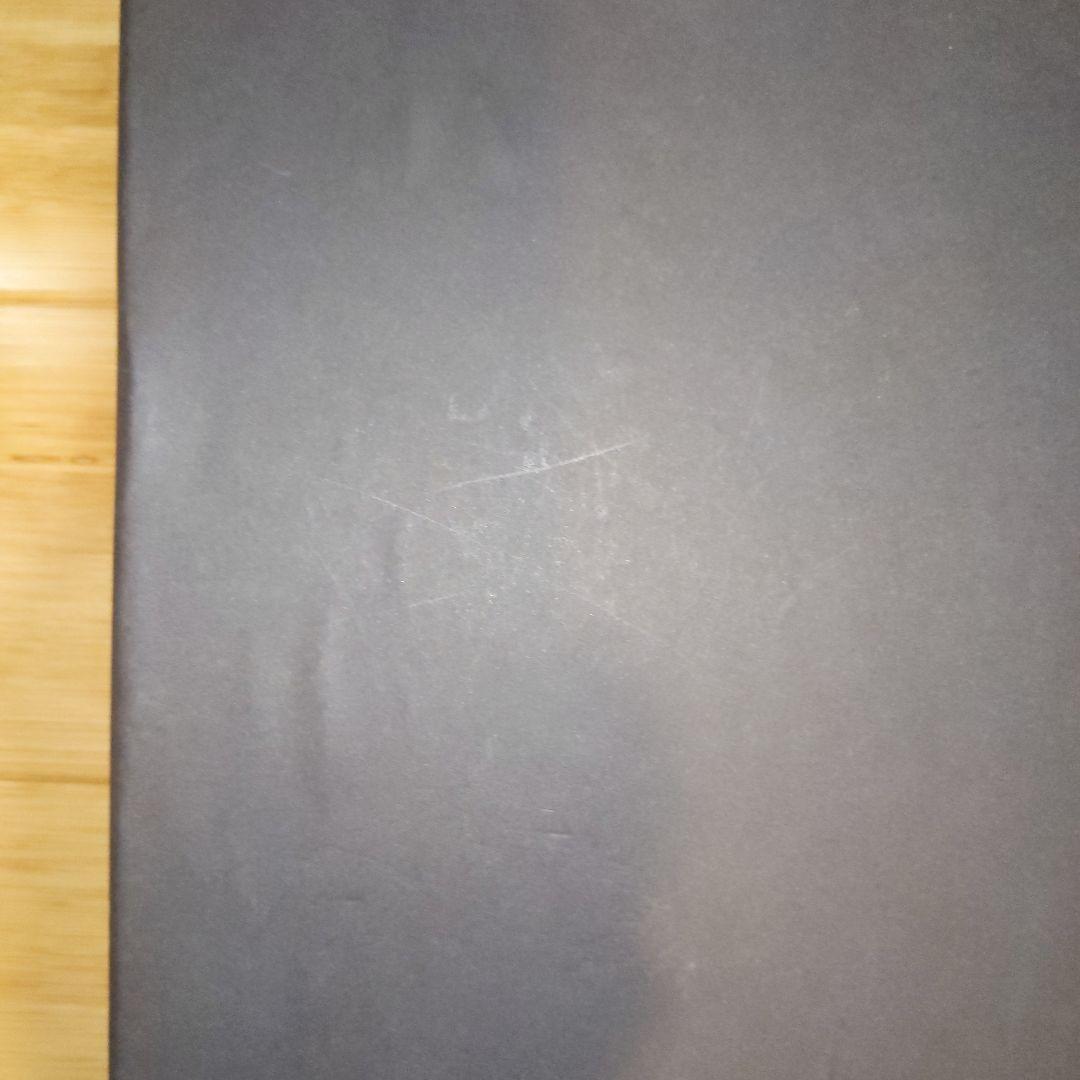 ら*む様 希少価値　ボッテガヴェネタ　クラッチバッグ