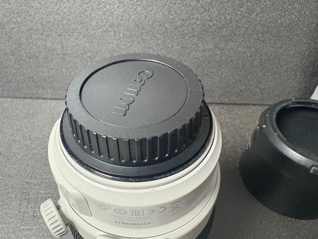 【美品】EF100-400mm F4.5-5.6L IS II USM キヤノン