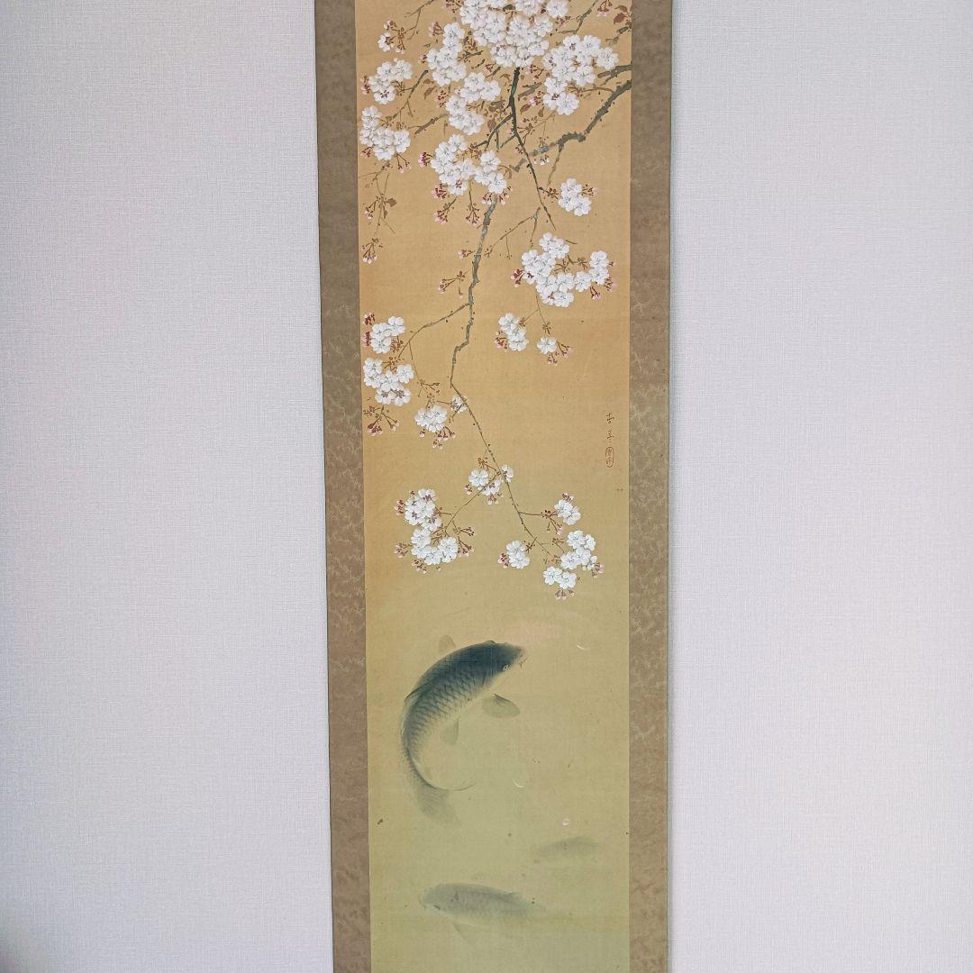 Yocchan 松田杏亭 掛軸 開運 縁起物 おもてなし 鯉 桜 日本美術