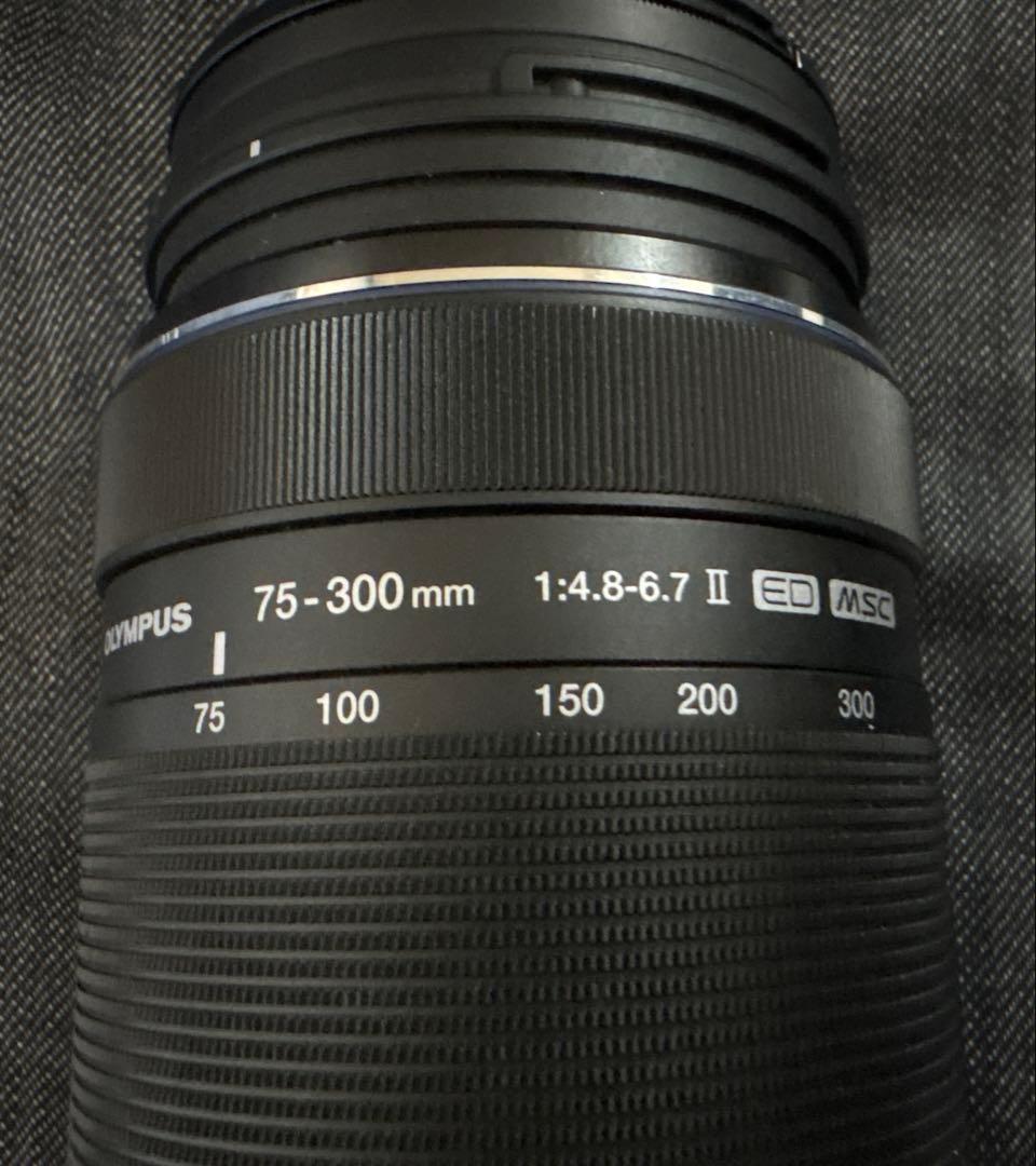 オリンパスOM-D E-M10 Mark II 望遠レンズ75-300mmセット