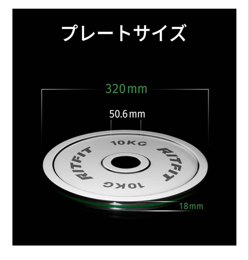 RITFIT 10KG バーベルプレート　2枚