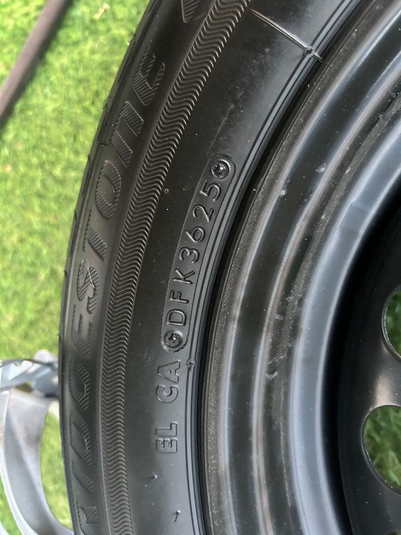 ガジュマルさん専用