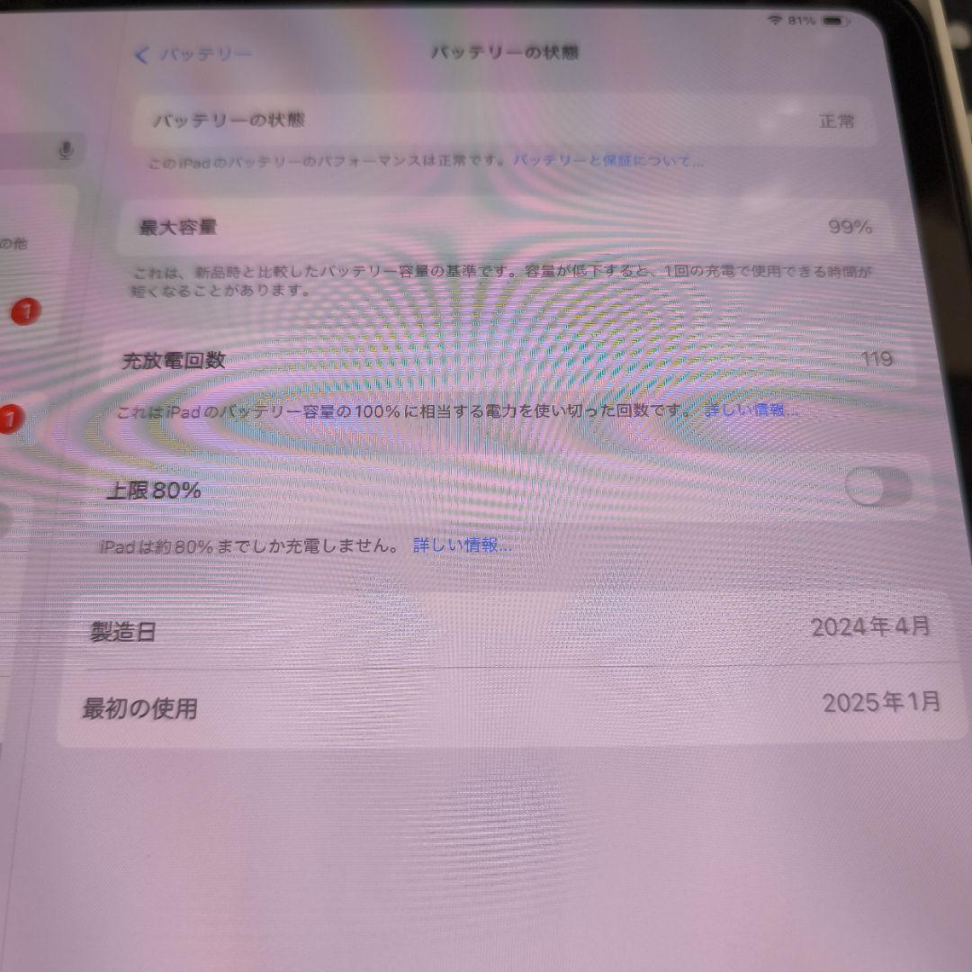 iPad本体 iPad Pro 13 M4 Wi-Fi + Cellular 256