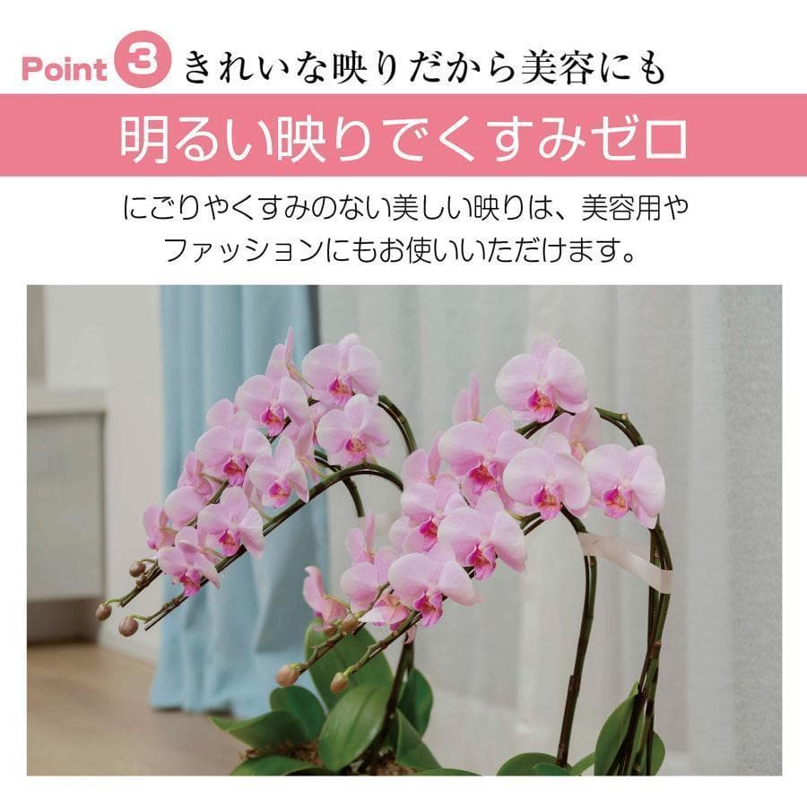 2658フィルムミラー 割れない鏡 全身鏡幅100×高さ160cm キャスター付