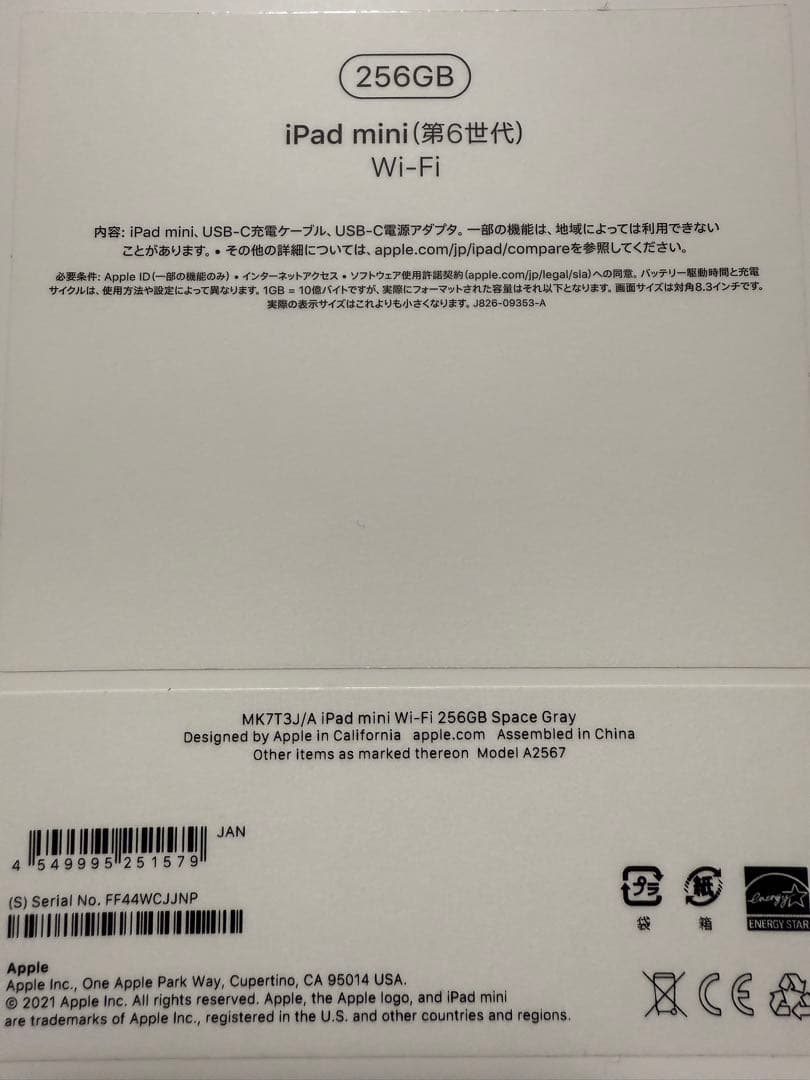 ⭐️中古美品ipadmini6 wifi 256gApple Pencil2セット