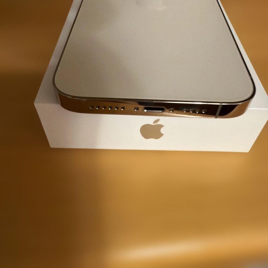 iPhone 14 Pro Max ゴールド シリコンケーブル付き