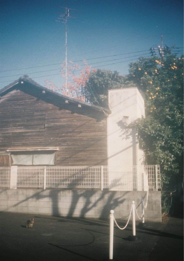 【訳あり＊動作確認・清掃済み＊試写あり】リコーオートハーフS