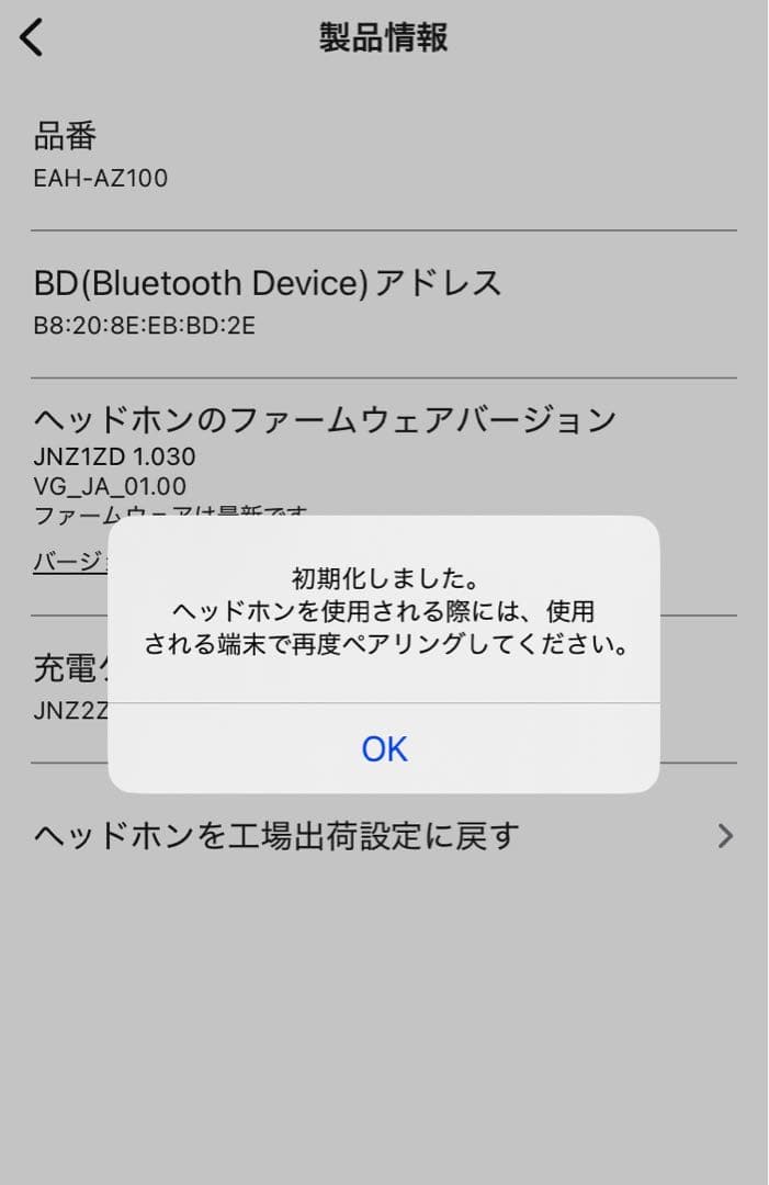 Technics ワイヤレスイヤホン AZ100 おまけ有り
