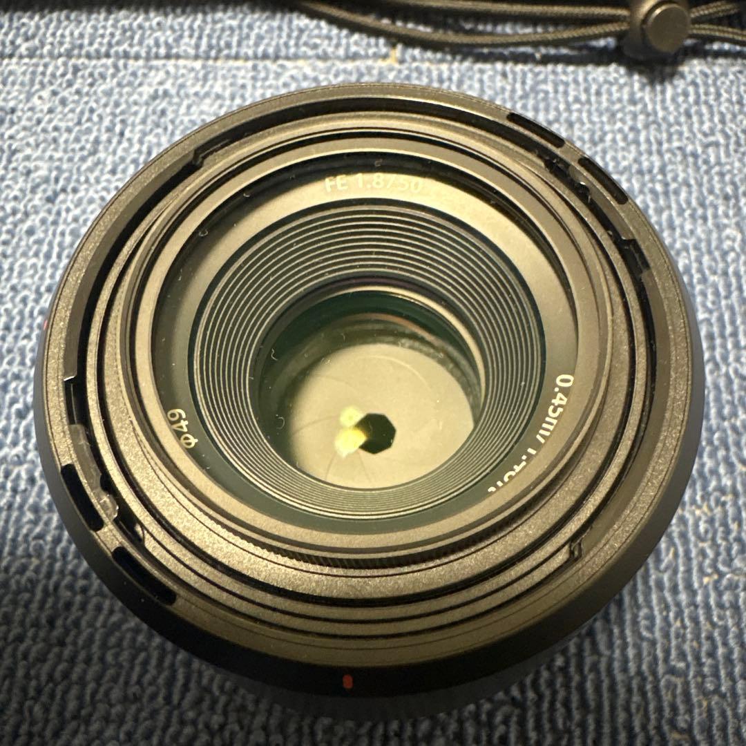 SONY α7III、SIGMA 24-70mm F2.8 DG DN おまけ付