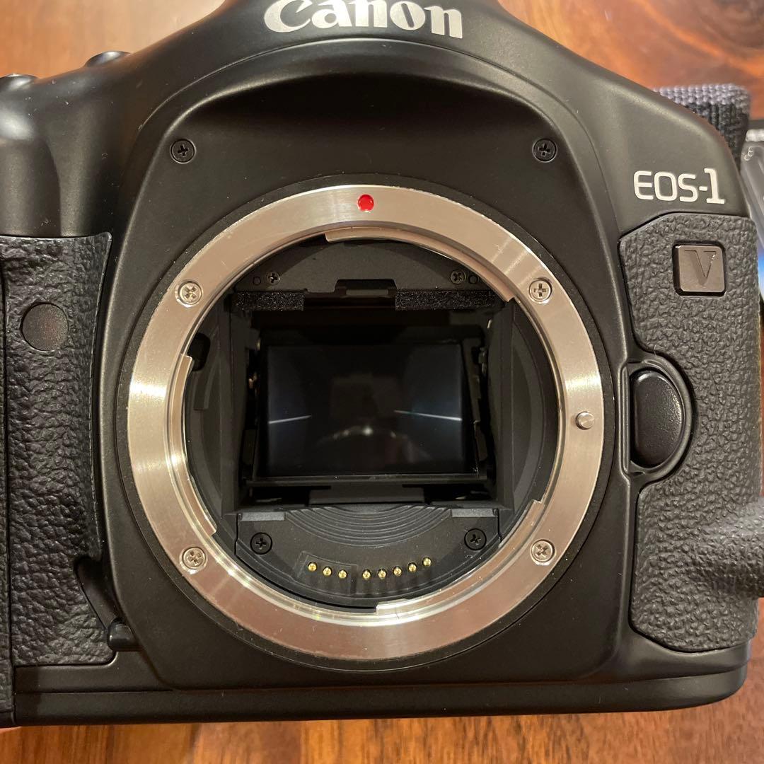 専用　Canon キャノン　eos1v EOS-1v フィルムカメラ