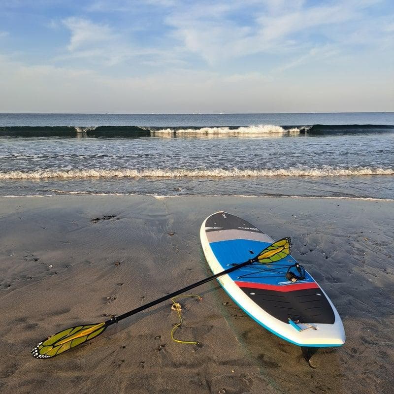 サーフィン・ボディボード SUP SIC BIC TAO FIT 11