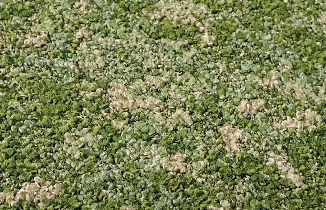 オラフヘッド　タイルカーペット３１枚　新品・未使用　国内メーカー