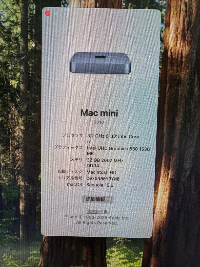 Mac mini 2018 i7 32GBメモリ 1TB SSD スペースグレイ