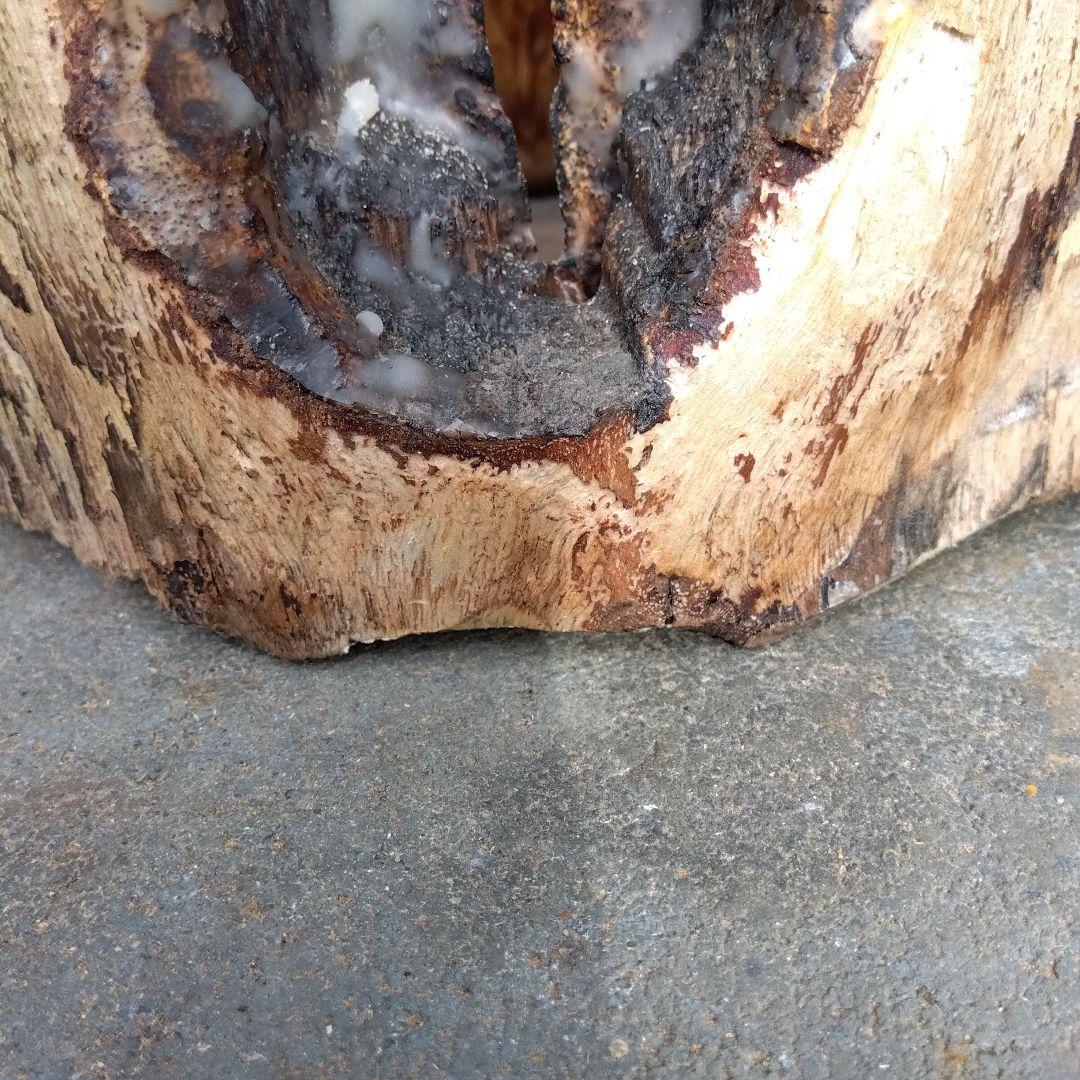 天然木 昆虫採集道具 日本みつばち誘引待ち箱のベース