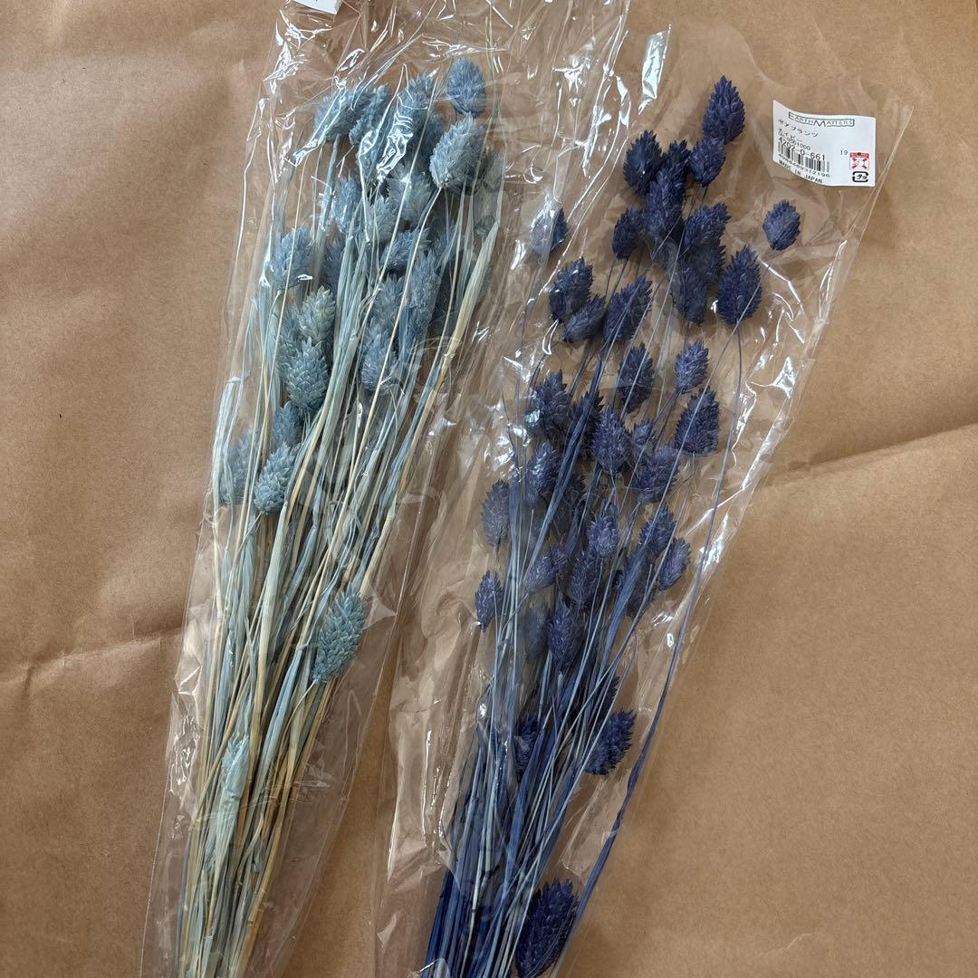 ドライフラワー花材セット